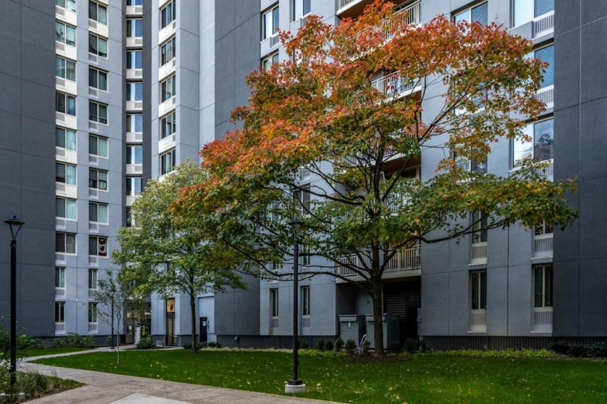 New Chic & Cozy 1bd Near East River, Minutes From Park Appartement New York