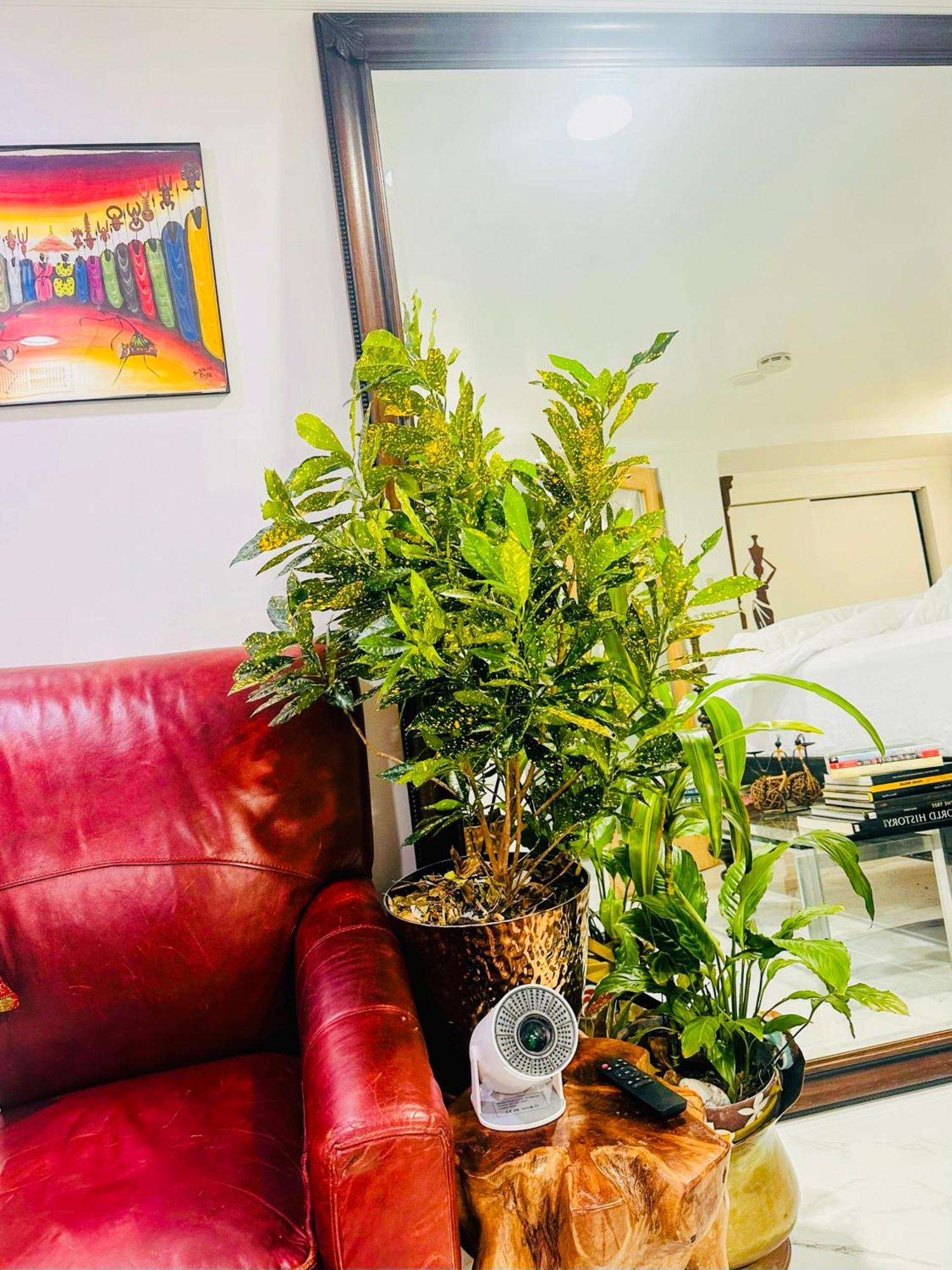 10 Minutes Away From Jfk Appartement New York
