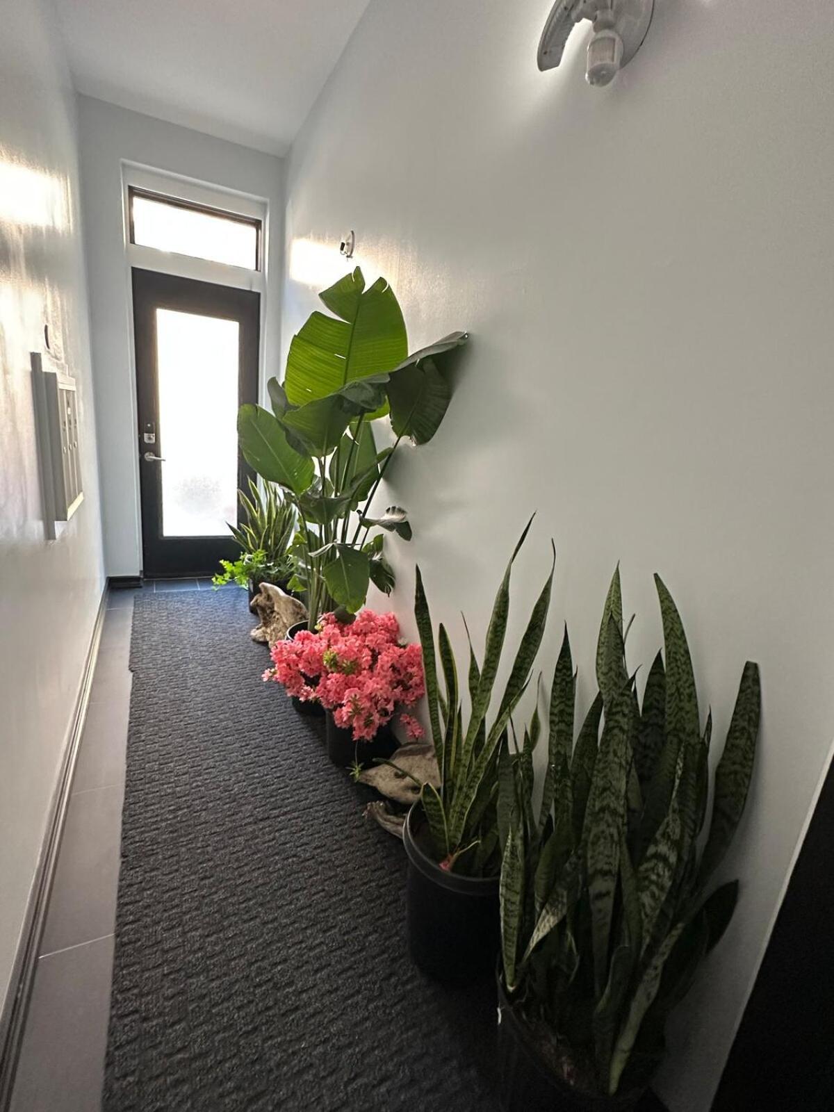 Private Bedroom And Private Bath * Nova York
