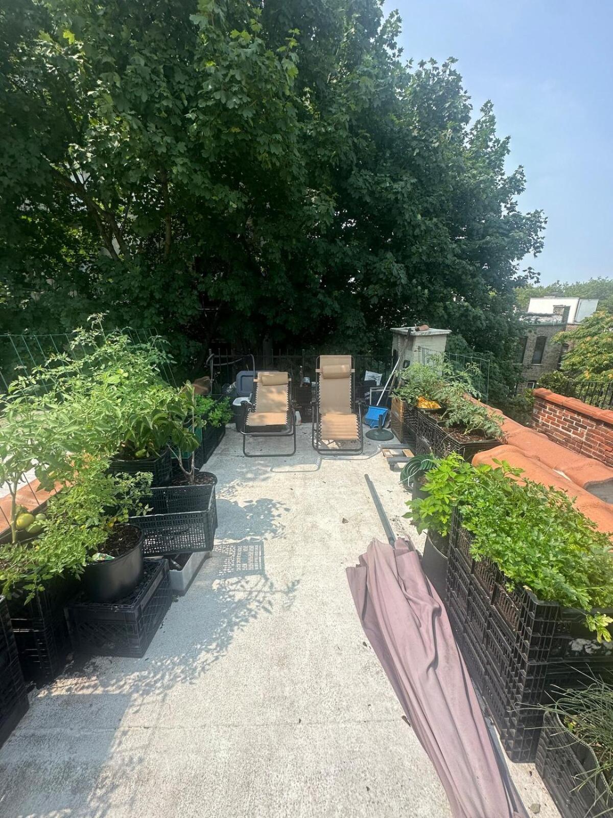 Private Bedroom And Private Bath * Nova York