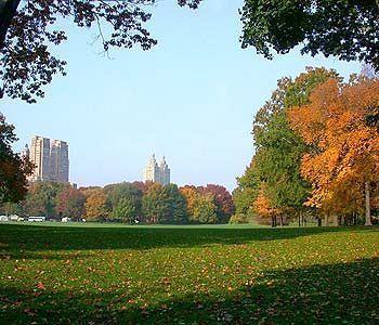 Park Savoy Hotel Nueva York