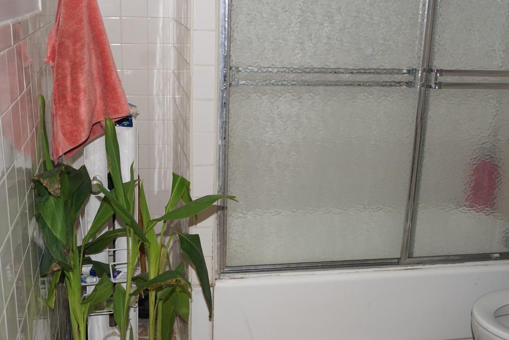 John 3 16 Christian Bnb Appartement