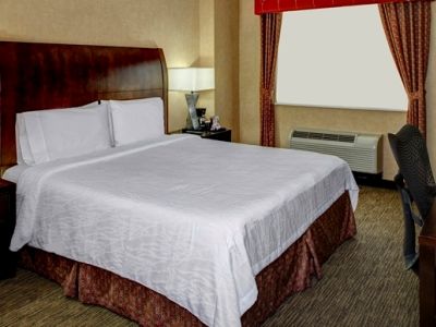 Hotel Hilton Garden New York/manhattan-chelsea Nueva York