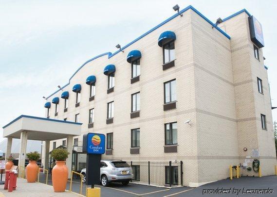 Comfort Jfk Airport Hotel New York City