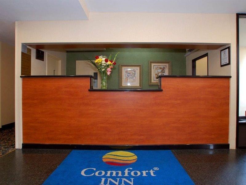 Hotel Comfort Jfk Airport New York City