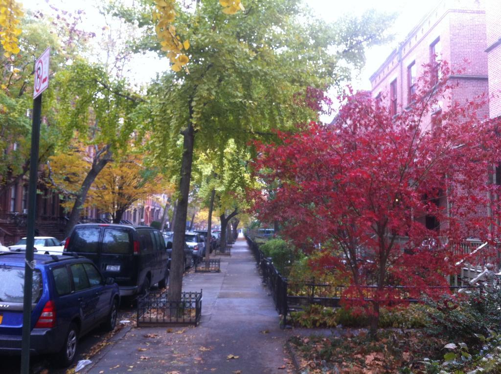 Great Cozy Apt Appartement New York