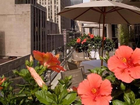 Doubletree By Hilton Midtown Fifth Ave Nova York