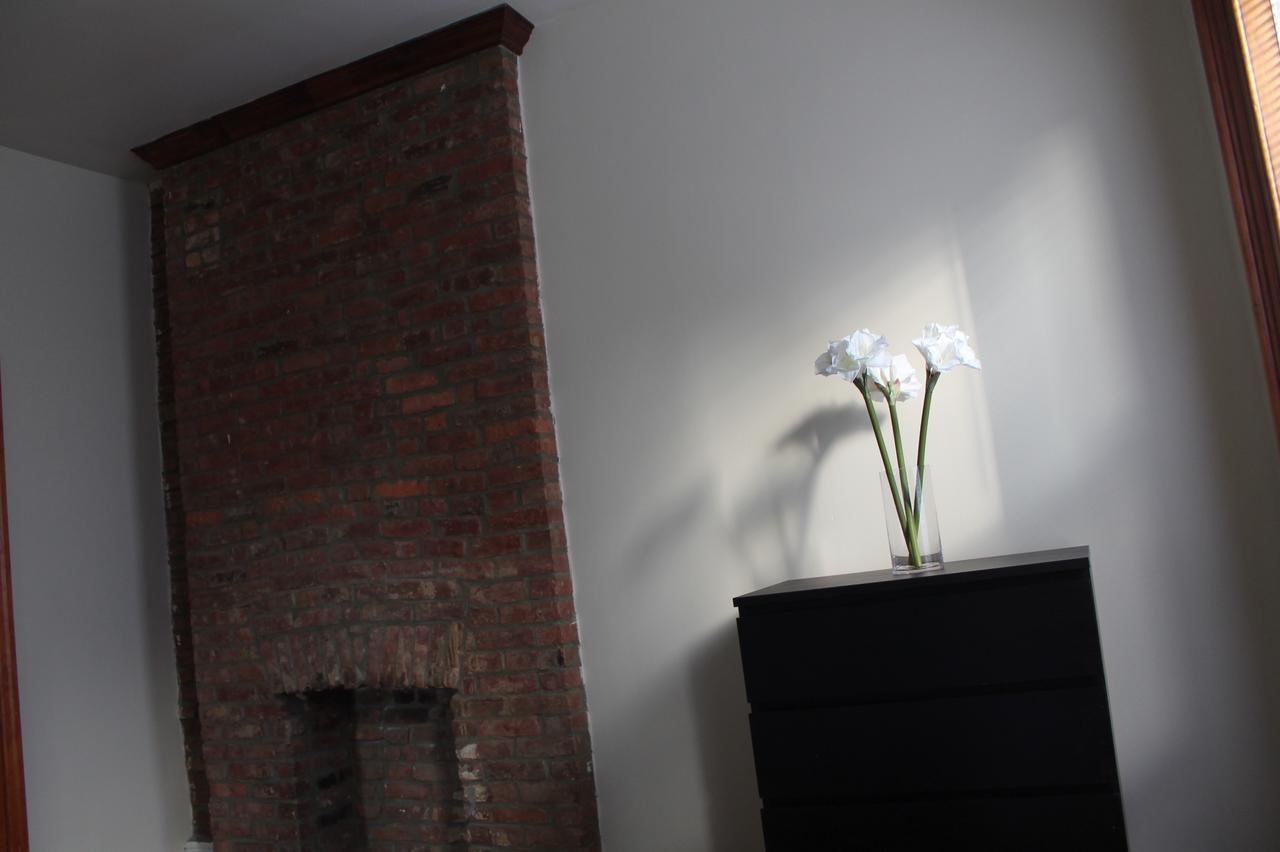Stuyvesant Heights Loft Appartement