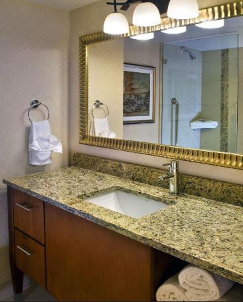 Hilton Jfk Airport Hotel New York City