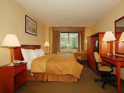 Hotel Comfort Brooklyn New York City