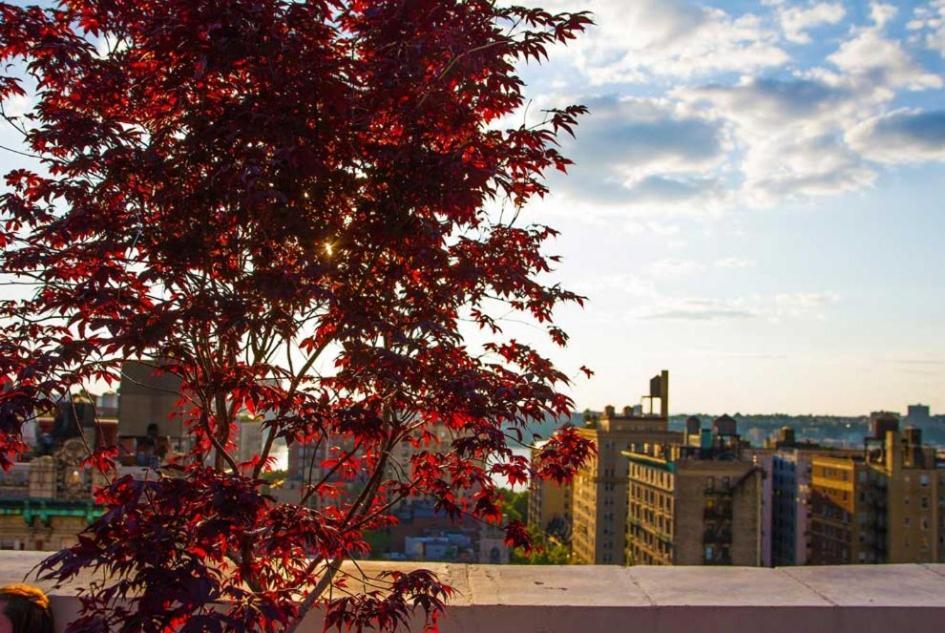 Upper West Side Appartement New York