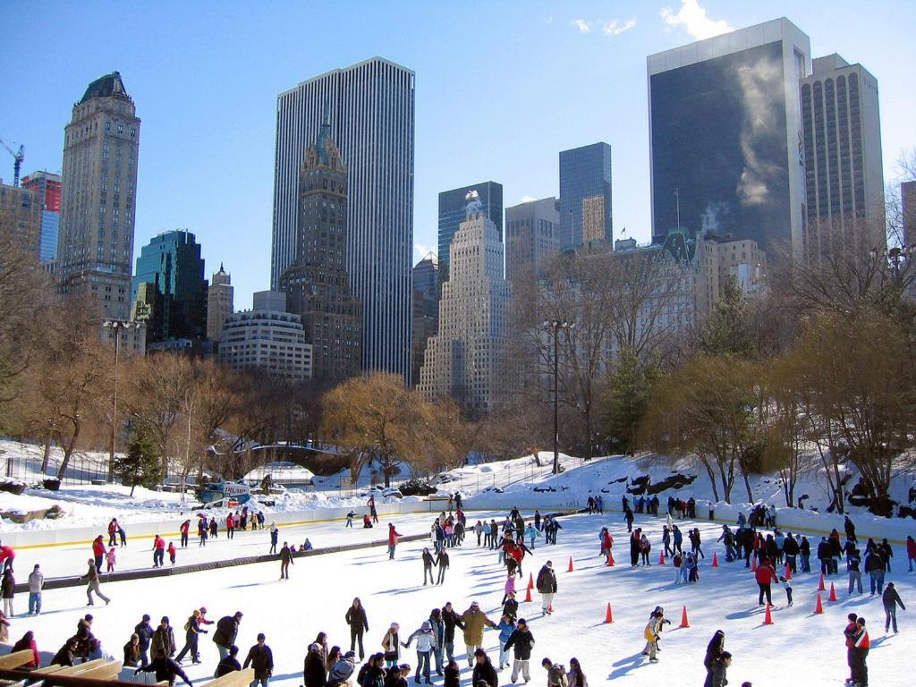 Appartement Central Park Charming