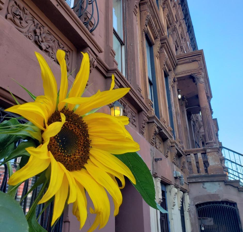 Appartement Historic Brownstone
