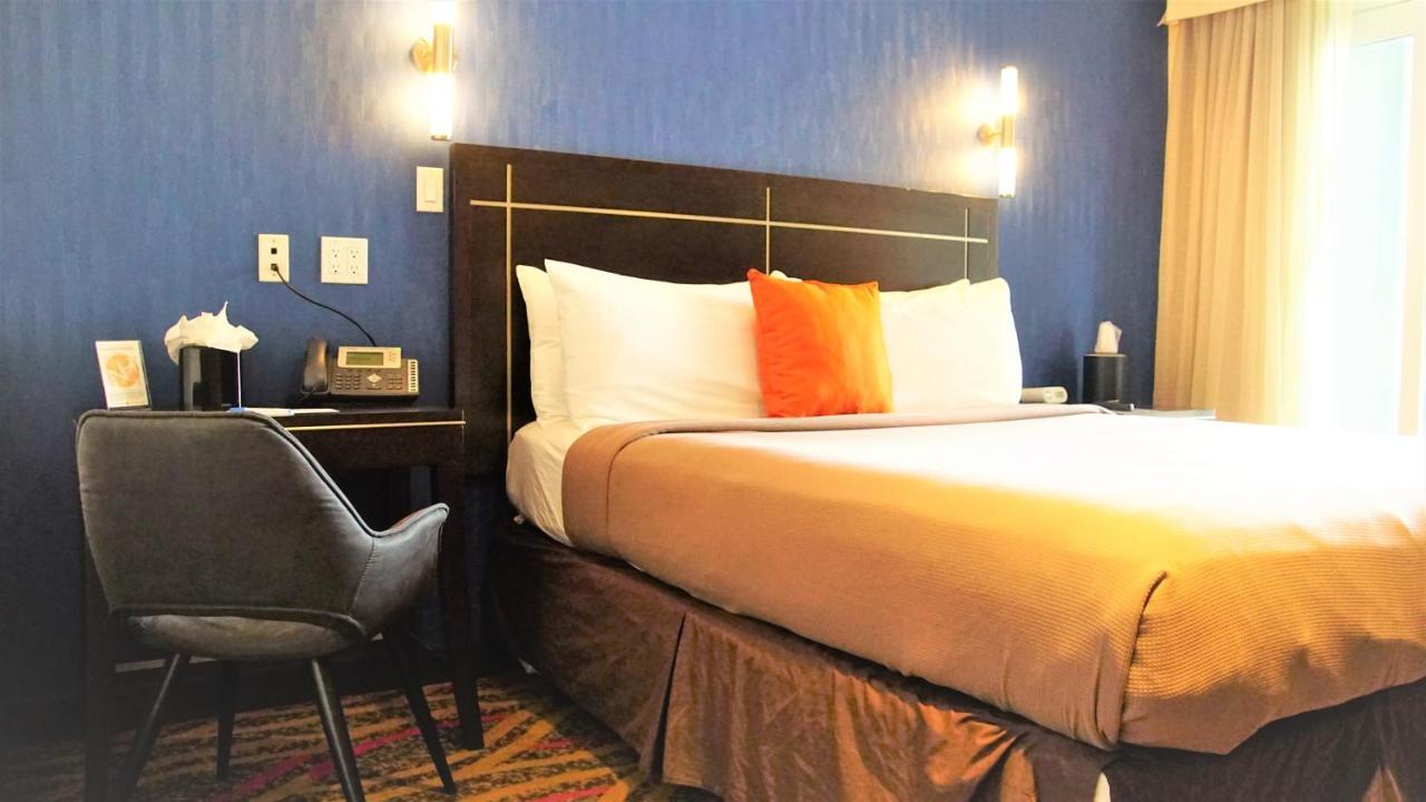 Nesva - Vista (adults Only) New York City
