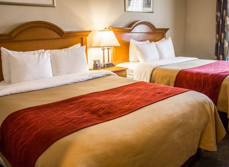 Comfort Jfk Airport 2* New York City