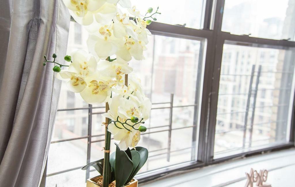 34th Street Appartement *