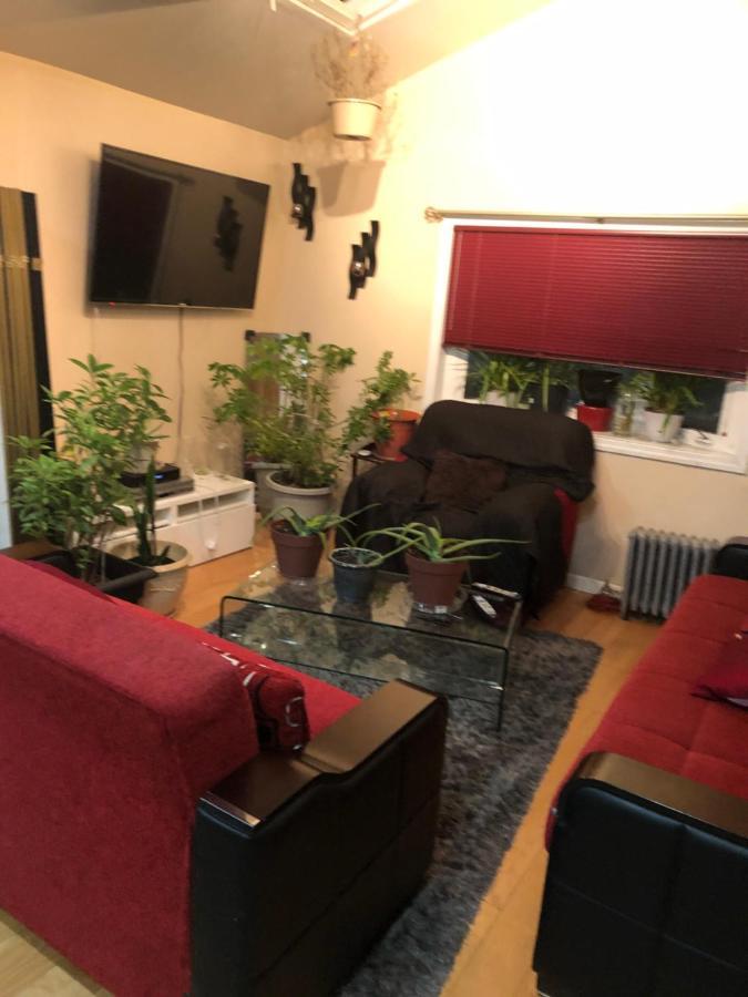 Brooklyn Blue House Privatunterkunft New York