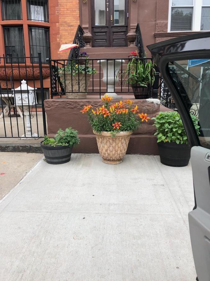 Brooklyn Brownstone Appartamento New York