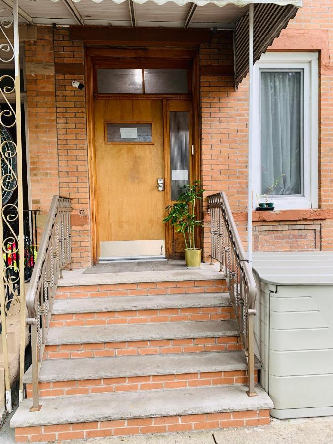 Urban Jungle Oasis In Queens! Privatunterkunft New York