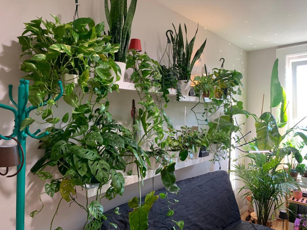 Privatunterkunft Urban Jungle Oasis In Queens! *