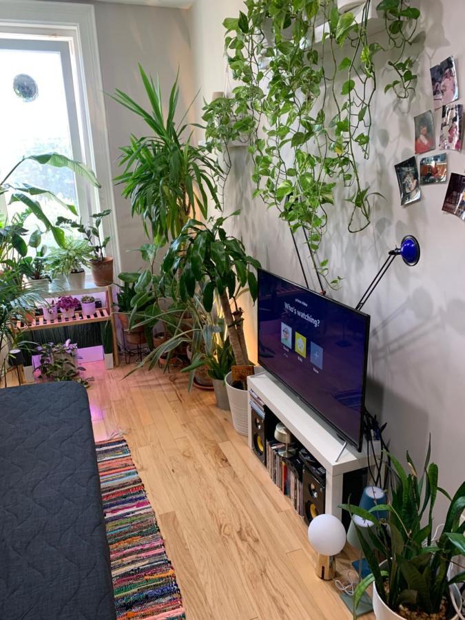 Urban Jungle Oasis In Queens! Privatunterkunft New York