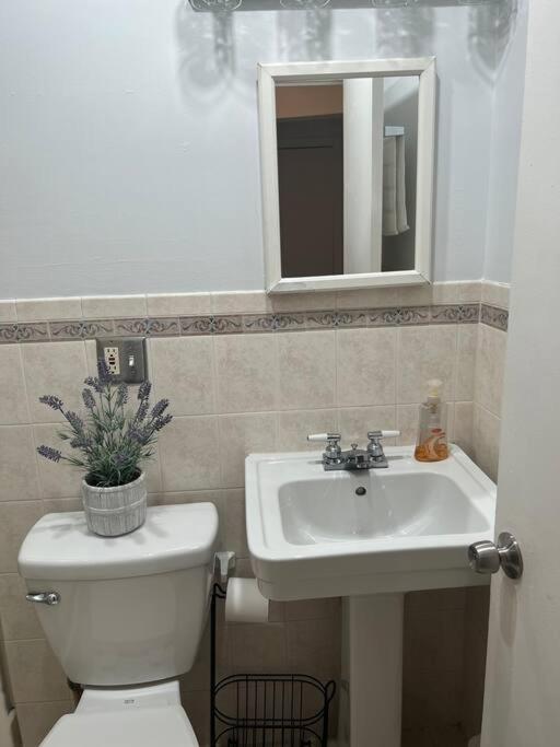 Cozy Lovely 2 Bedroom Apt, 5 Mins From Jfk Appartement *