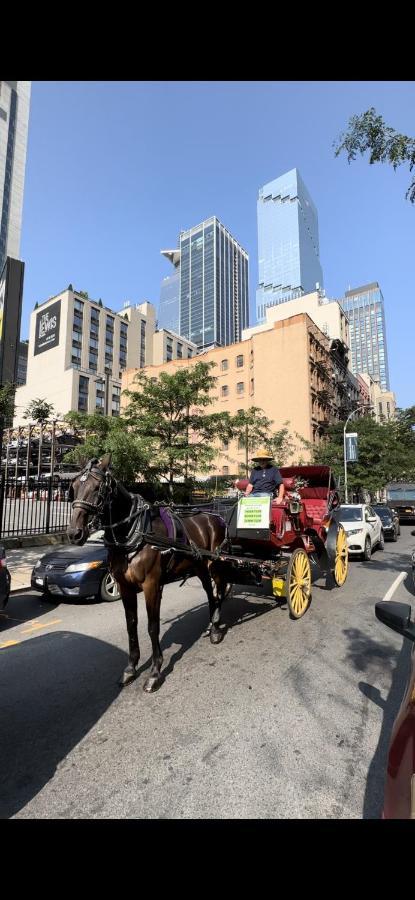 Hudson Yard 1 Bedroom Ground Floor Near Times Sq Lejlighed