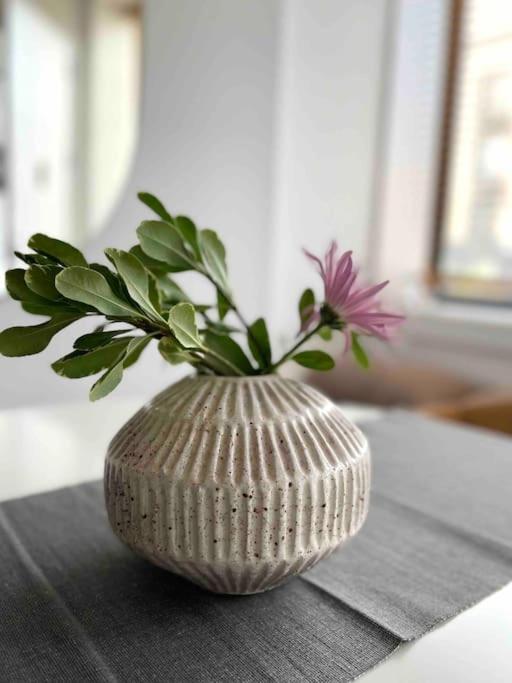 Appartement Minimalist Brooklyn Gem To Yourself *
