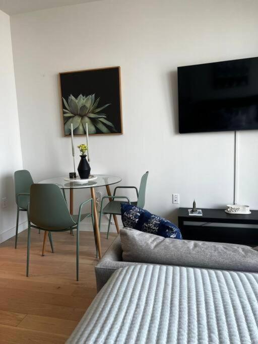 Luxury High-rise Studio Brooklyn Apartment New York