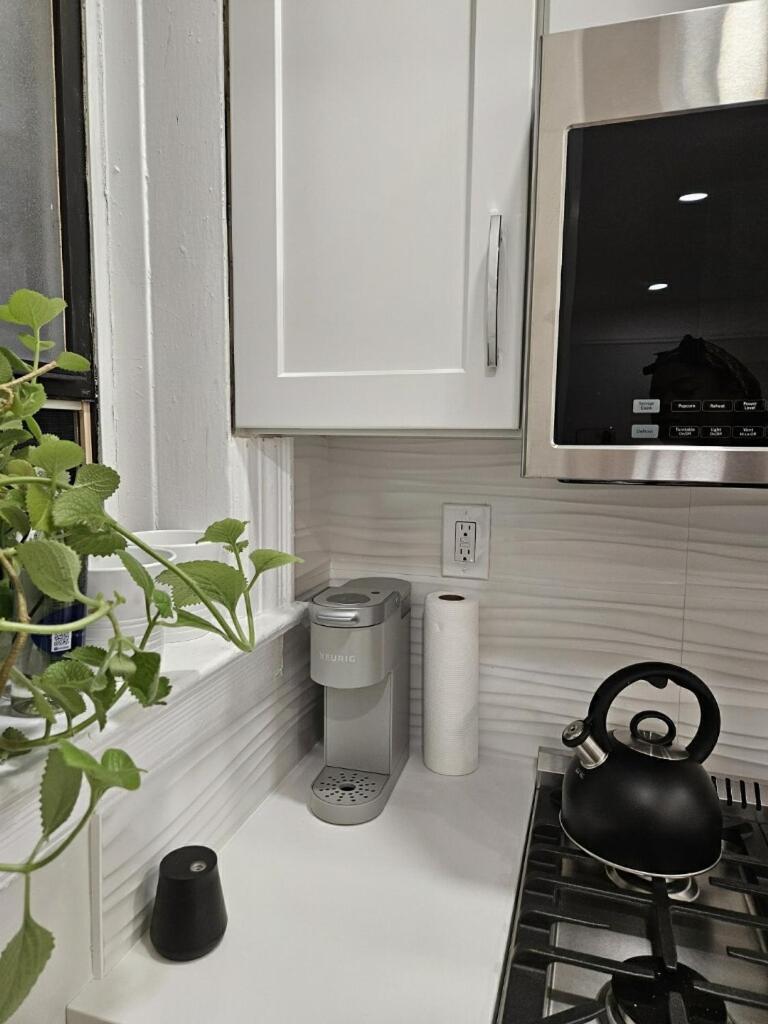 Brooklyn Flat Tropical Vibe New York