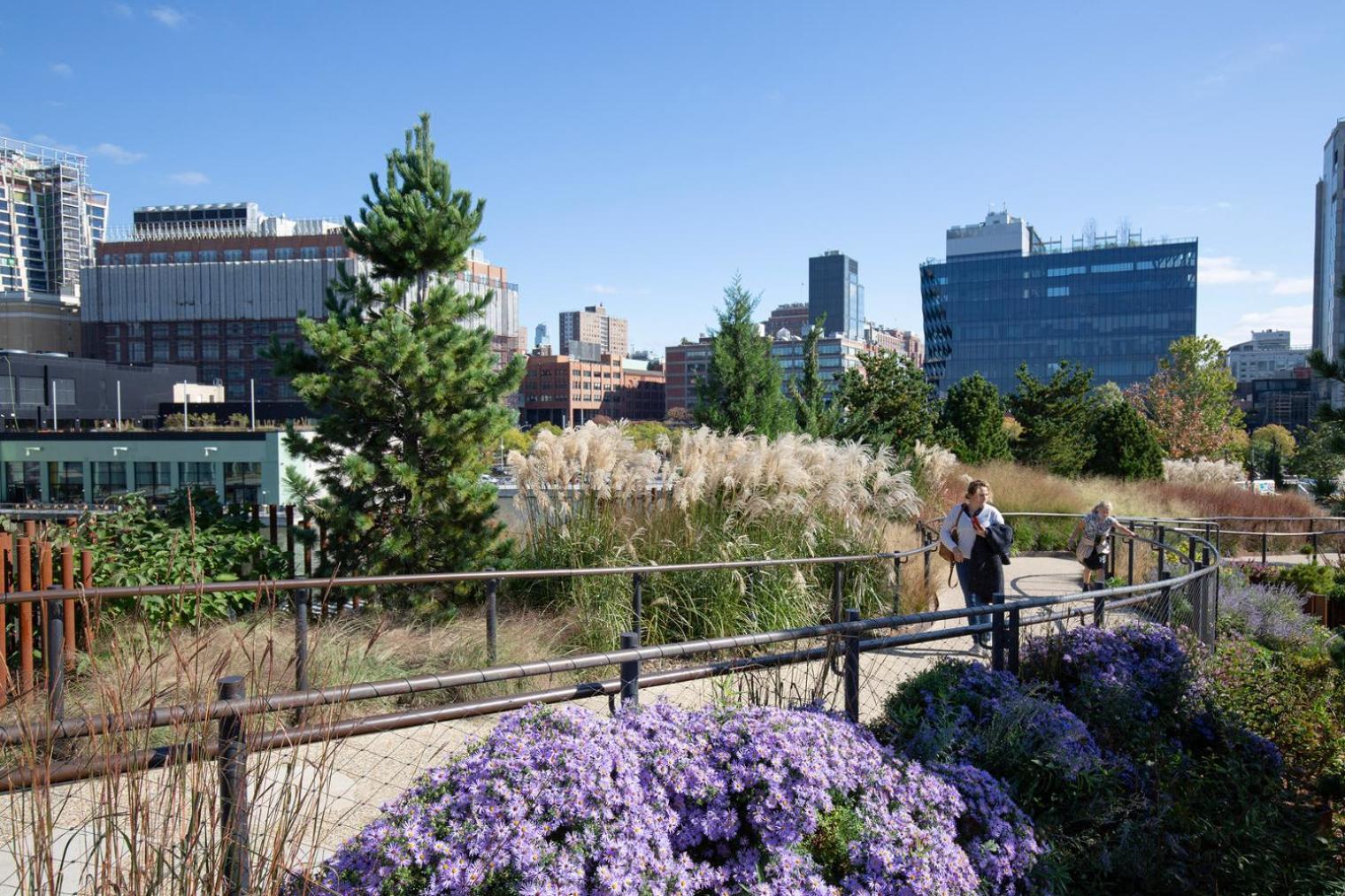 Appartement Chelsea 1br W Gym Roofdeck Nr Flatiron Nyc-1386