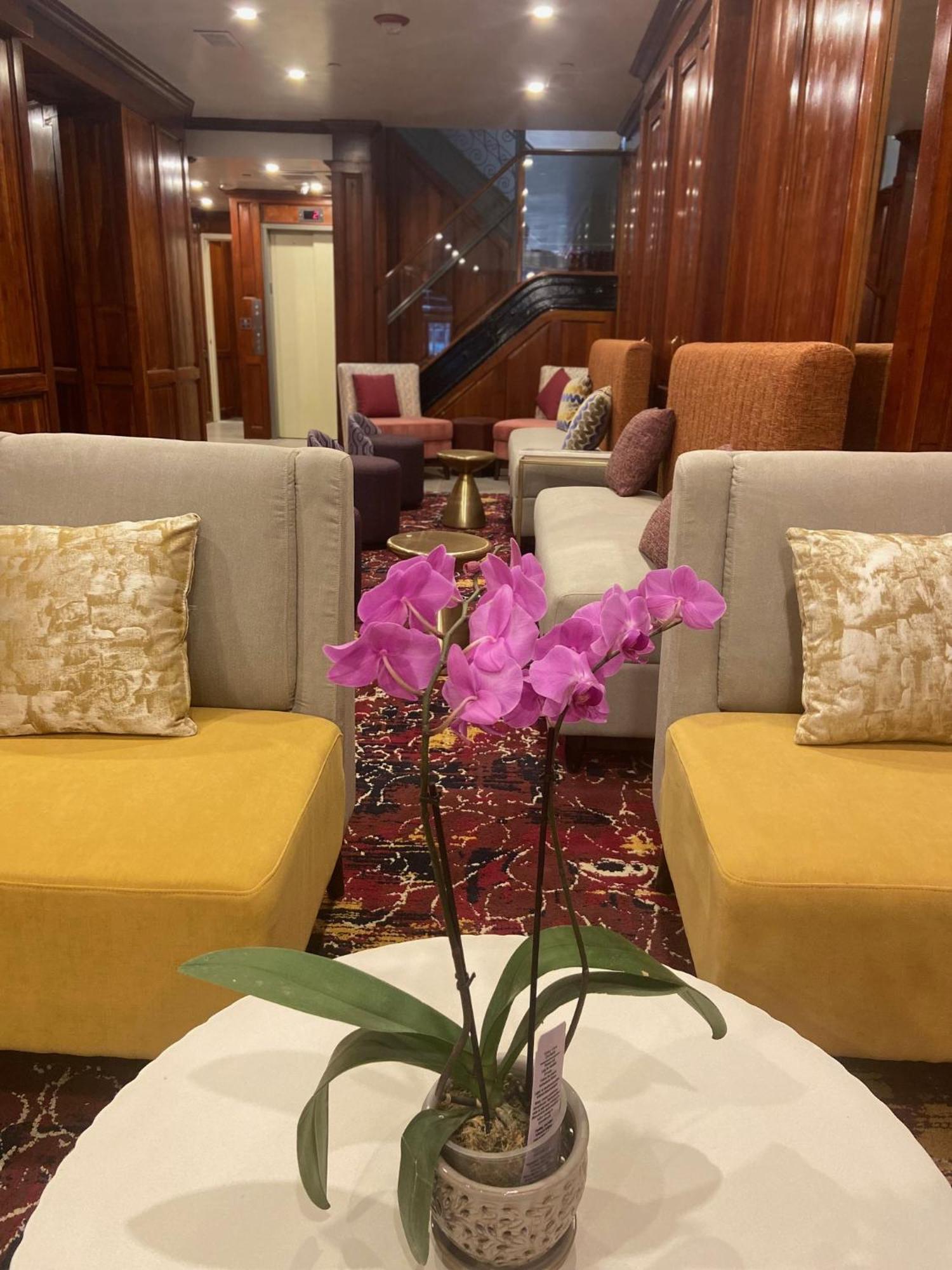 Hotel Mayfair Times Square 3*
