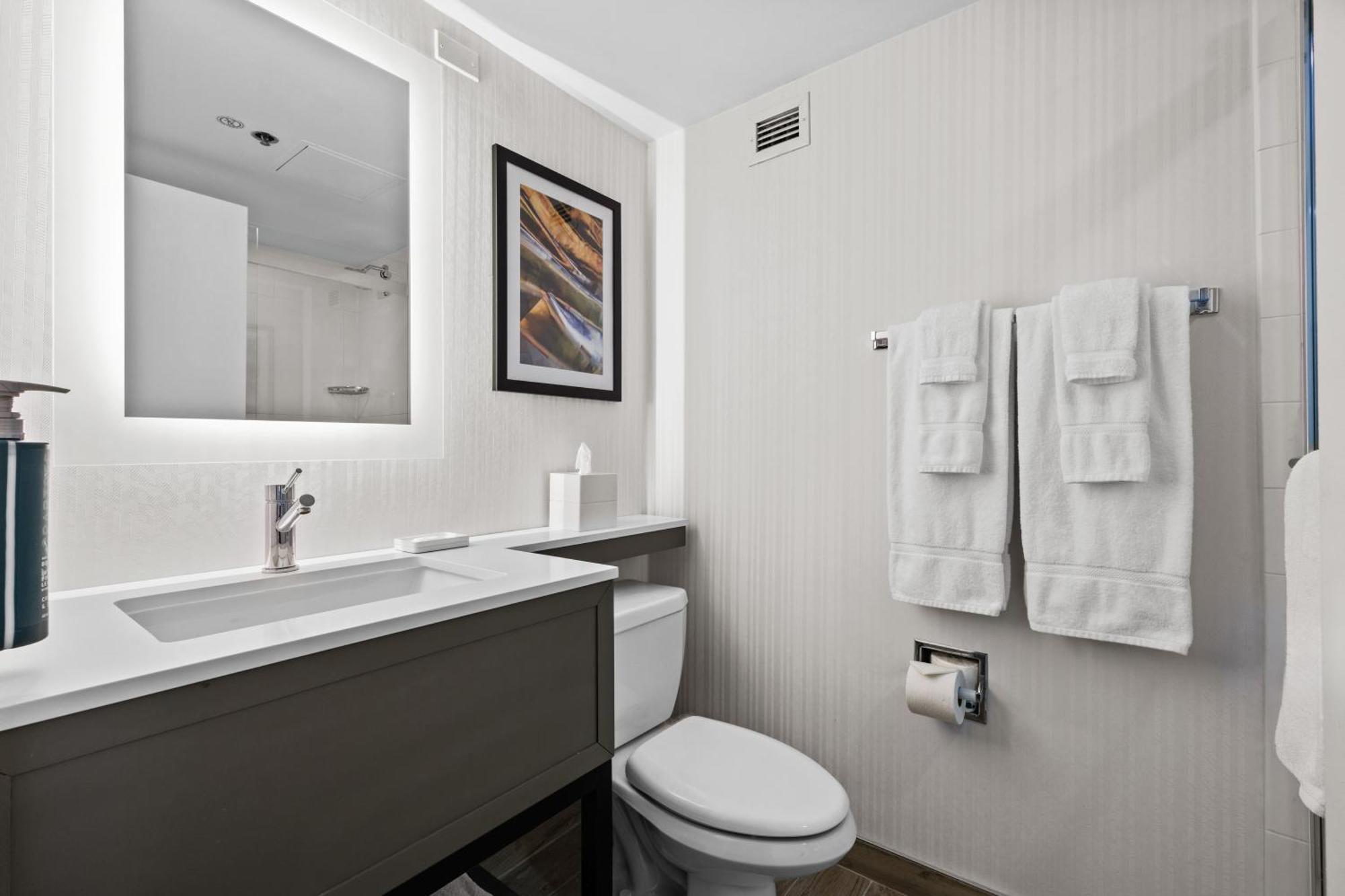 Radisson Jfk Airport 3*