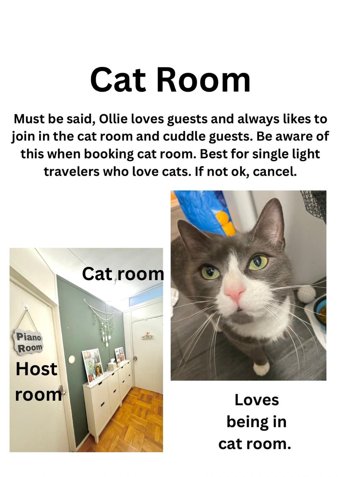 Cat By Delicate Living Conversion Shared Space Only Cat Friendly Only 25 Min To Time Square Nova York