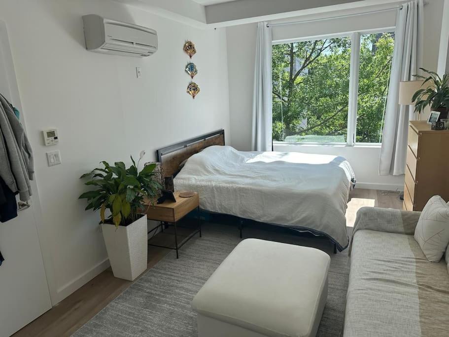 Appartement Beautiful Greenpoint New York