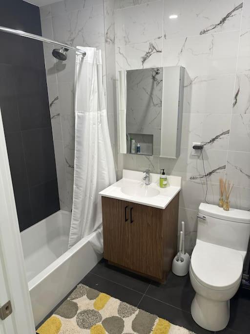 Beautiful Greenpoint Appartement