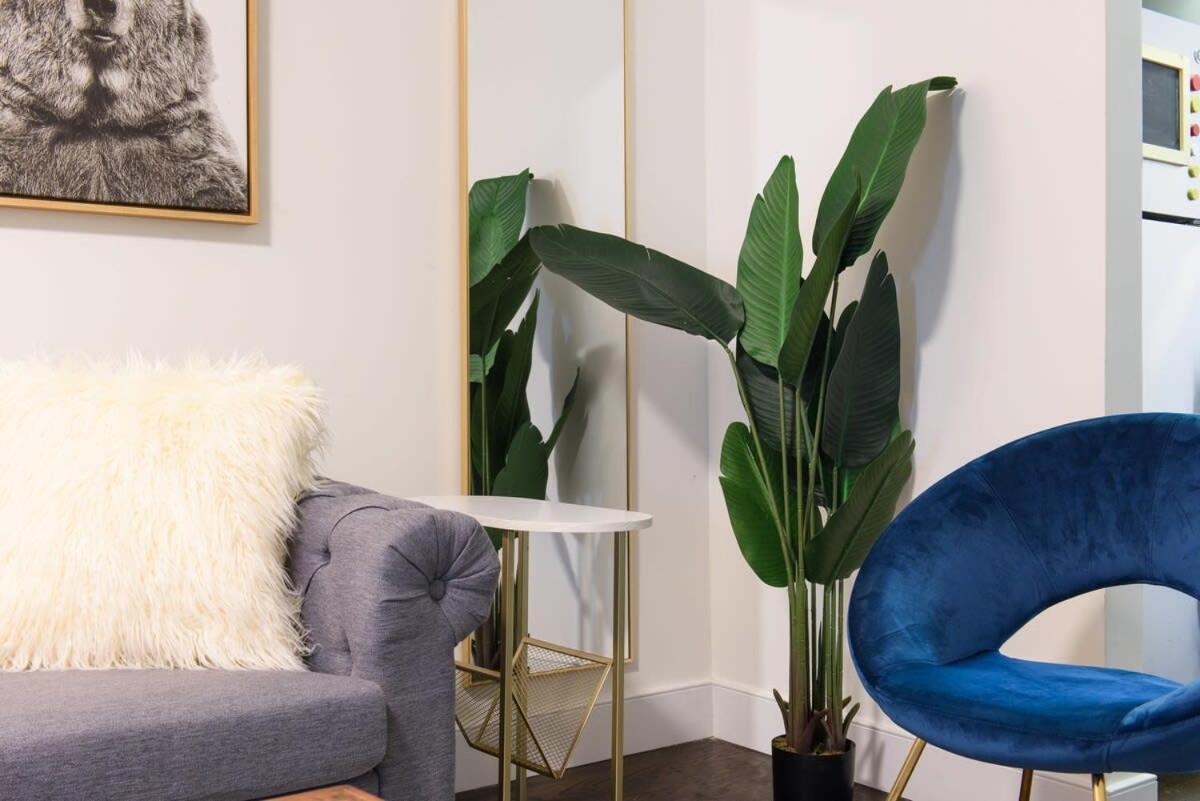 39-3 Newly Renovated 3 Br Appartement