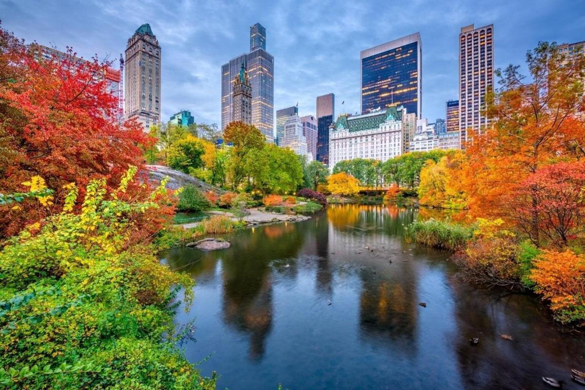 Location In Nyc! 1bd Steps From Park Apartment