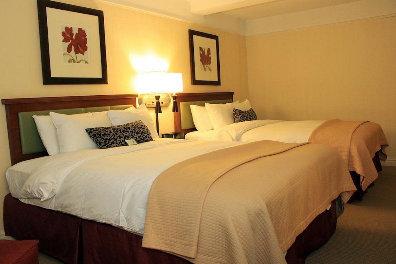 San Carlos New York City