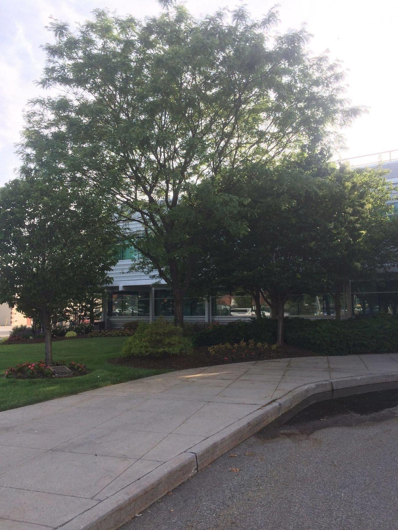 Auberge de jeunesse Nyc Summer Dorms Queens