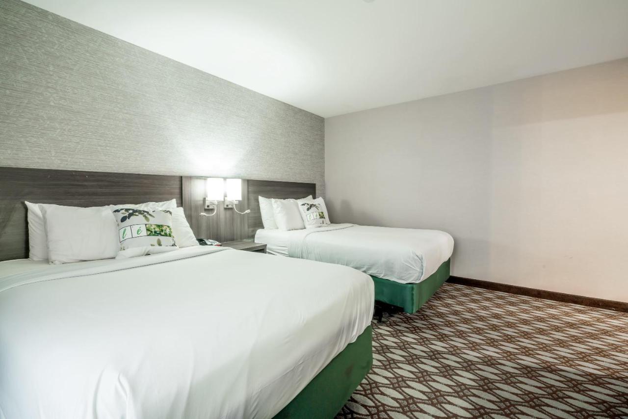 Letap Near Airtrain Jfk Airport Nueva York