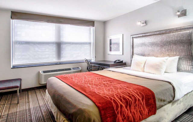 Mini-hôtel Comfort Manhattan - Midtown West New York